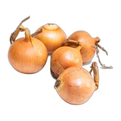 Cebolla Cabezona Blanca