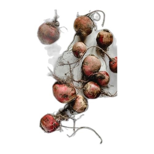 Cubios