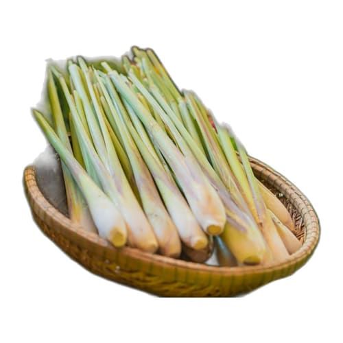 Limoncillo