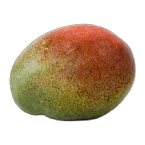 Mango Tommy