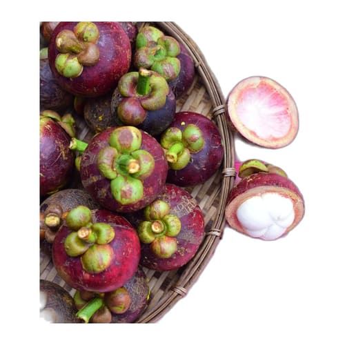 Mangostino