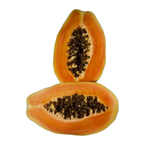 Papaya