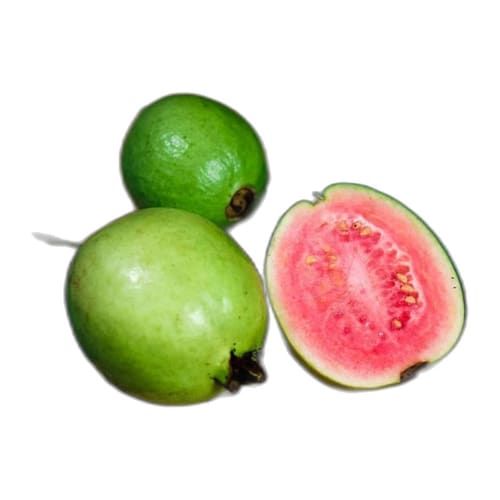 Pulpa de Guayaba