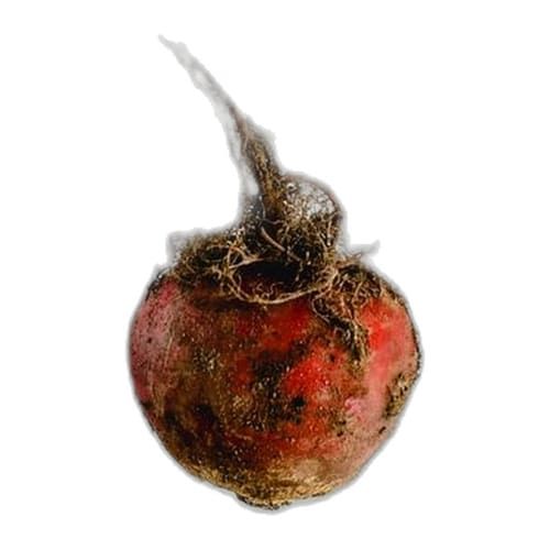 Remolacha