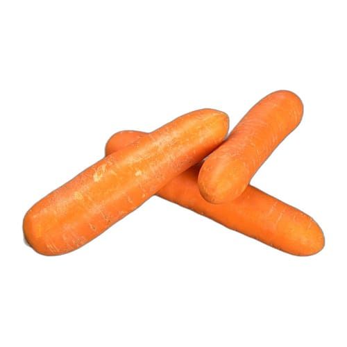 Zanahoria